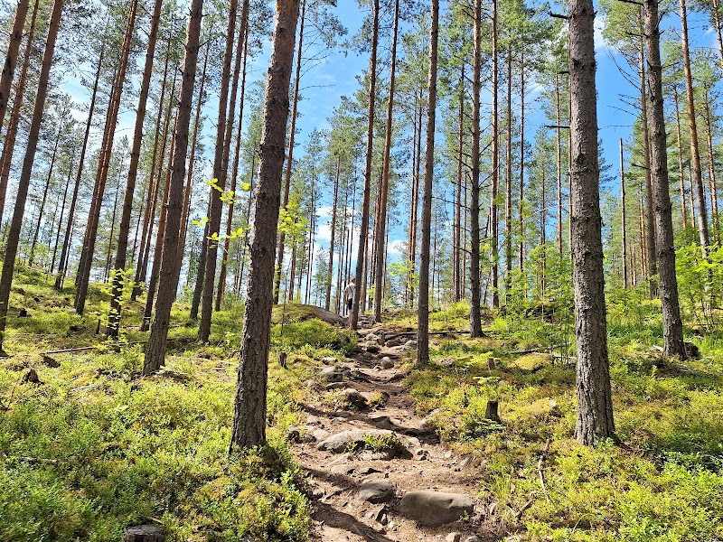 Photo 4 at Astuvansalmi rock paintings in Someenjärvi
