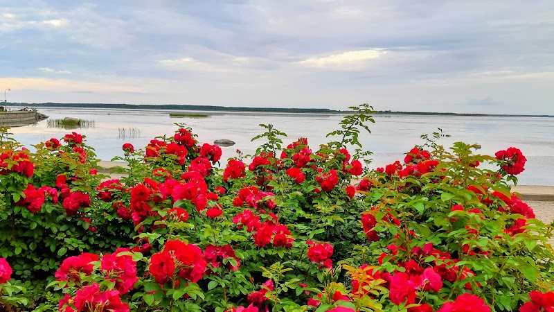 Photo 5 at Tšaikovski Pink in Haapsalu