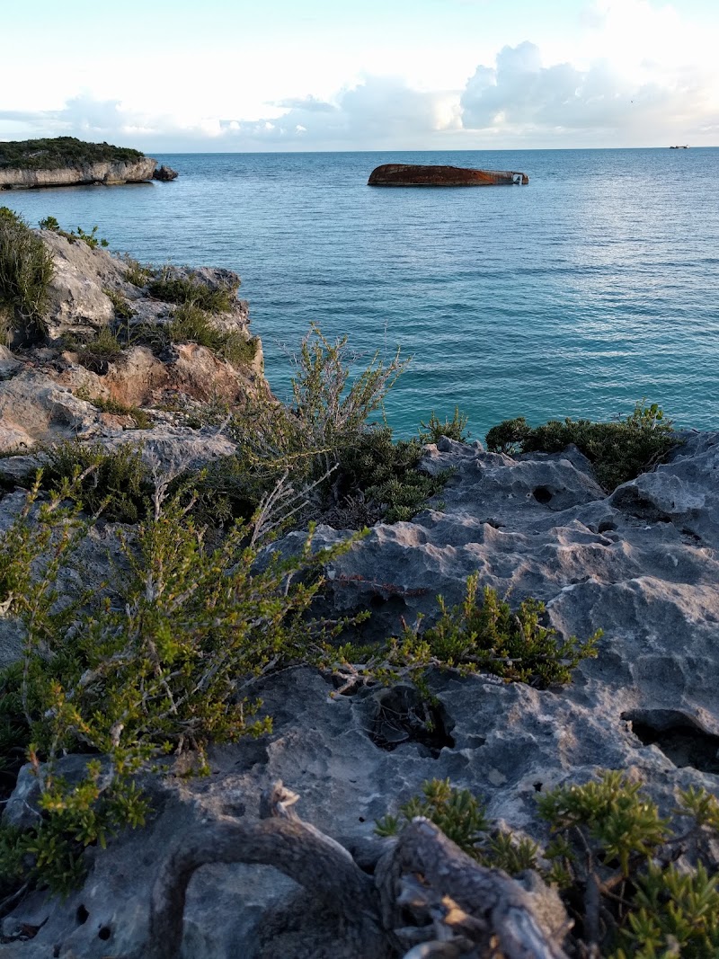 Photo 6 at Sapodilla Hill in 