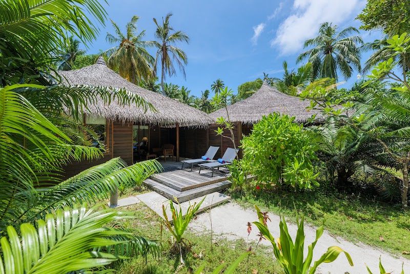 Niva Kuramathi Maldives in Ari Atoll