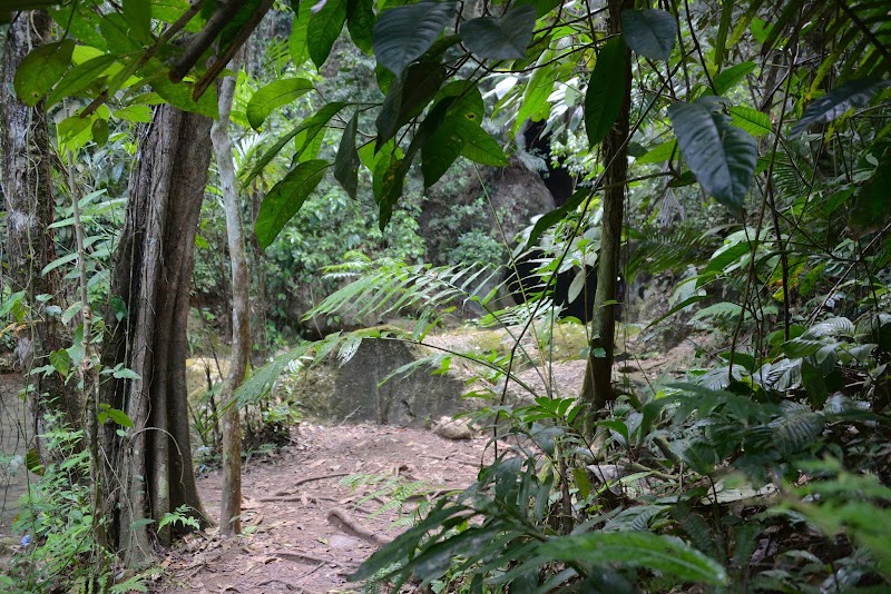 Photo 4 at Actun Tunichil Muknal (ATM Cave) in Seven Miles El Progresso