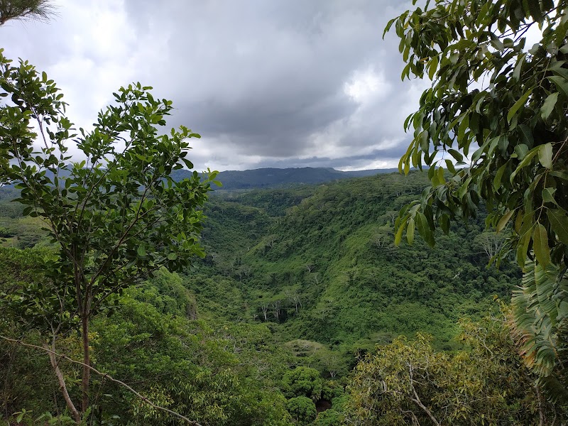 Photo 5 at Lavilleon Adventure Park in Chamarel