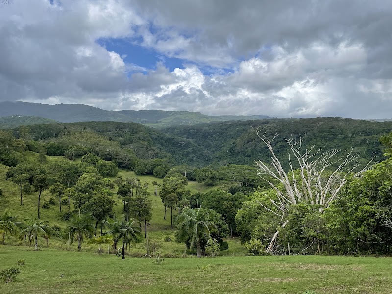 Photo 3 at Lavilleon Adventure Park in Chamarel
