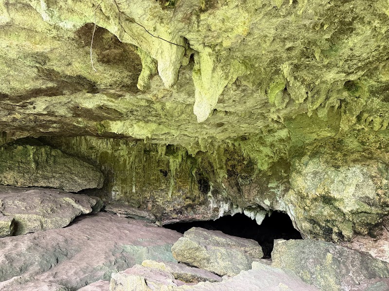 Photo 2 at Bosque Estatal de Río Abajo in Utuado