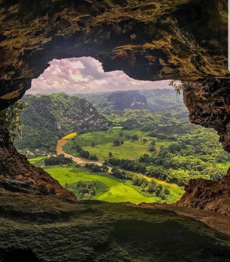 Photo 1 at Bosque Estatal de Río Abajo in Utuado