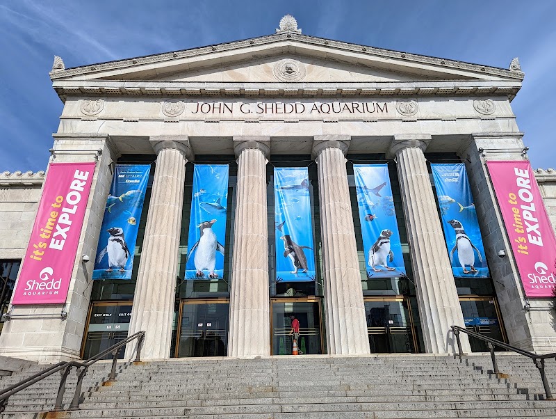 Photo 1 at Shedd Aquarium in Chicago