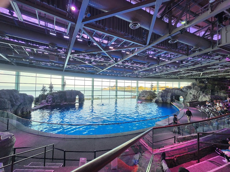 Photo 3 at Shedd Aquarium in Chicago