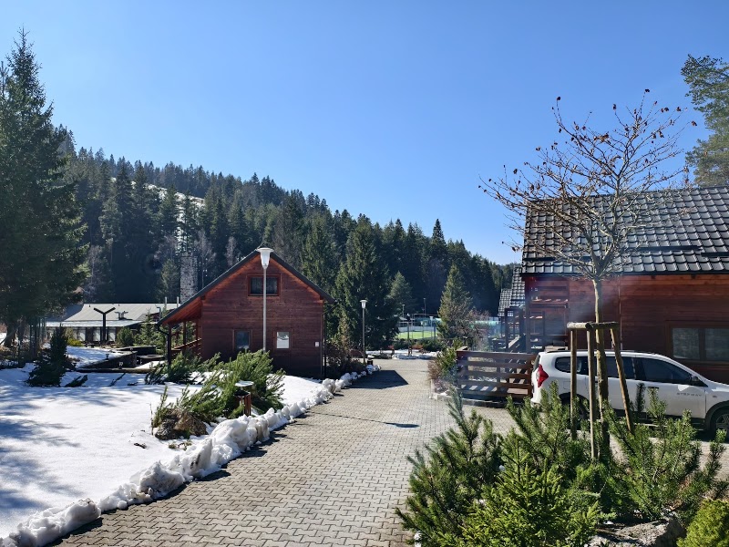 Photo 6 at Lopušná dolina Resort in Lučivná