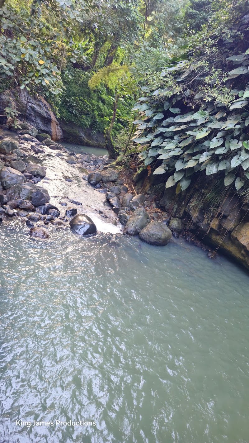 Photo 5 at Annandale Waterfall & Forest Park in Willis