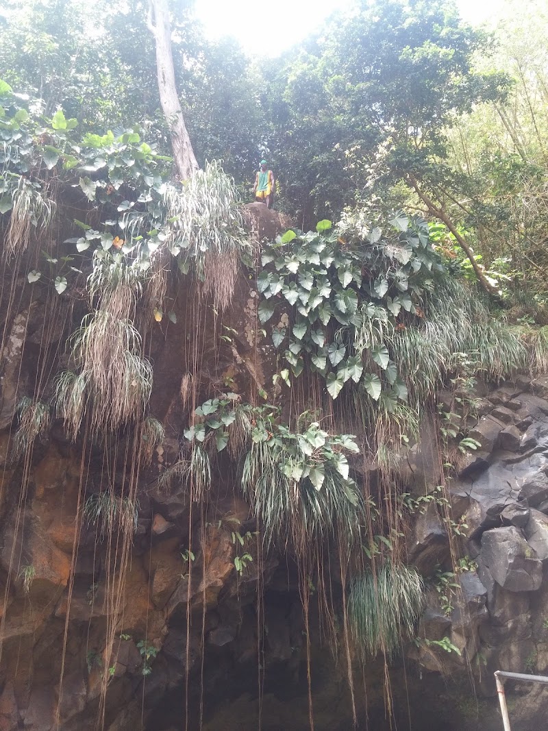 Photo 1 at Annandale Waterfall & Forest Park in Willis
