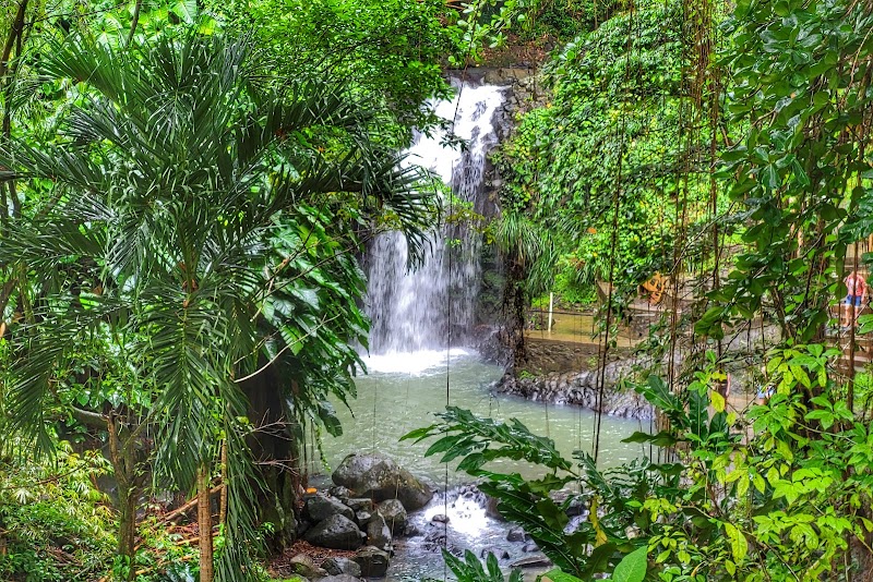 Photo 2 at Annandale Waterfall & Forest Park in Willis
