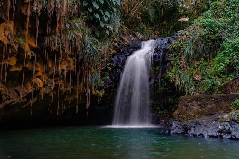 Annandale Waterfall & Forest Park in Willis
