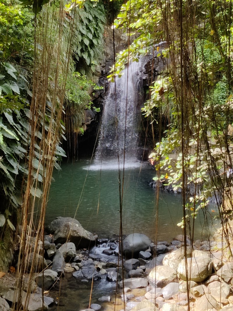 Photo 3 at Annandale Waterfall & Forest Park in Willis
