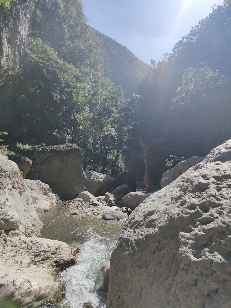 Photo 2 at Cane River Falls in Bull Bay