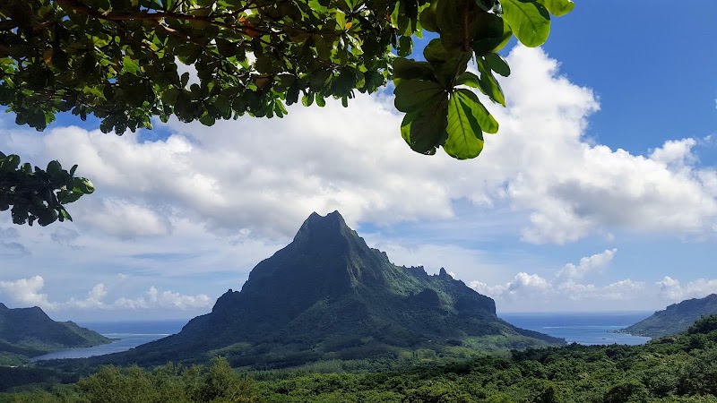 Photo 3 at Moorea Activities Center - Opunohu in Moorea-Maiao
