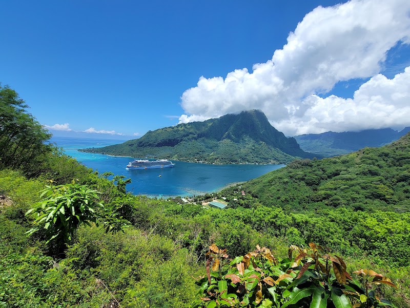 Photo 4 at Moorea Activities Center - Opunohu in Moorea-Maiao