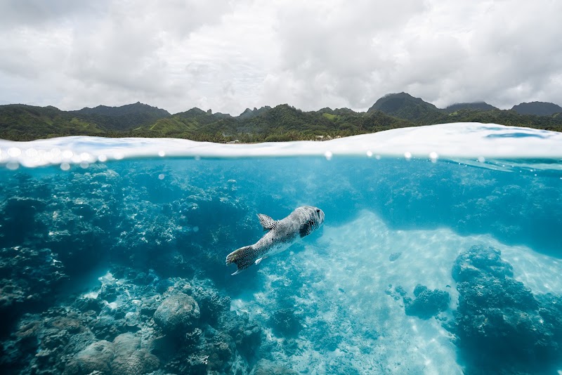 Photo 2 at Ocean Toa Cook Islands in Rarotonga