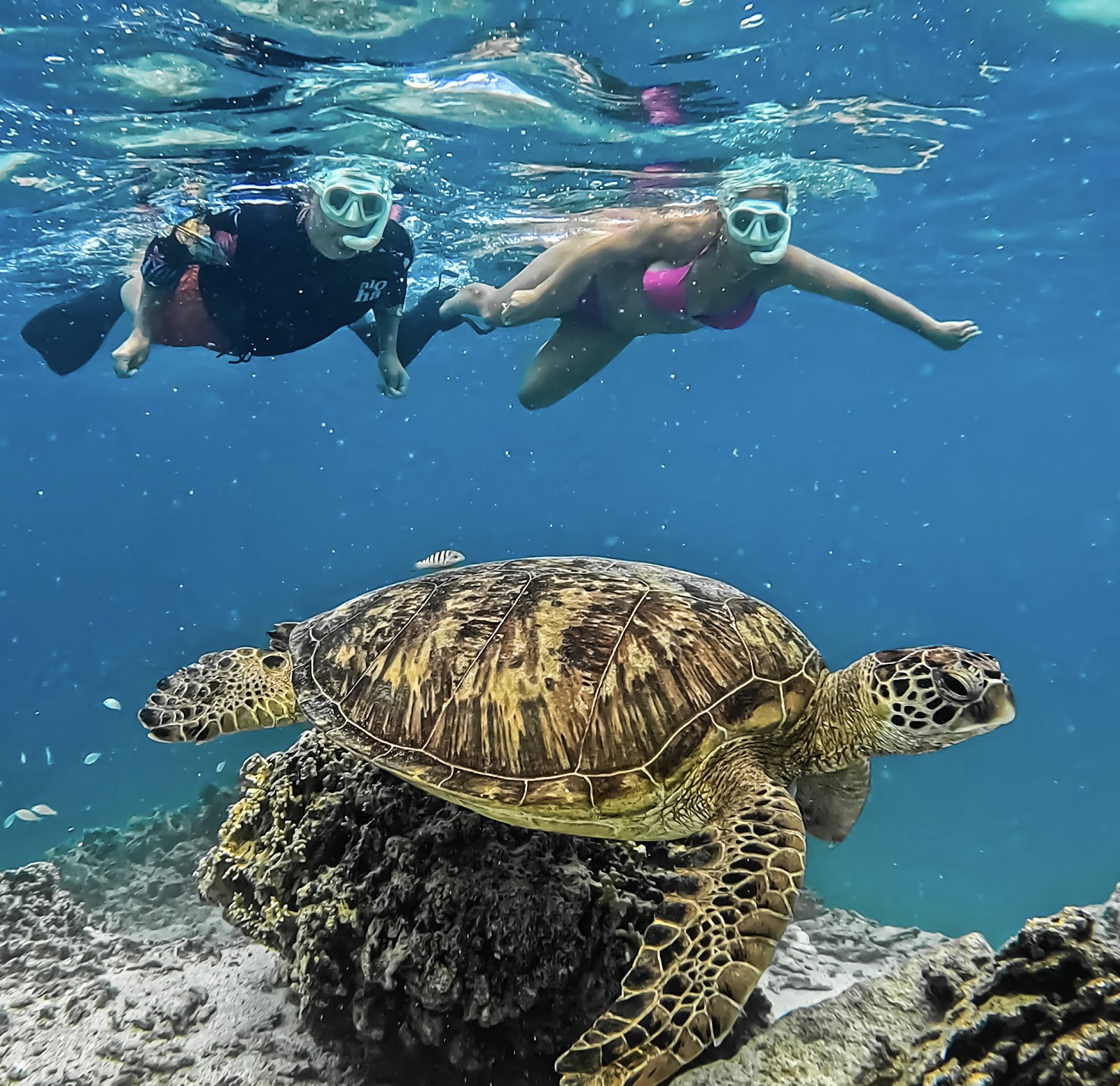 Ocean Toa Cook Islands in Rarotonga
