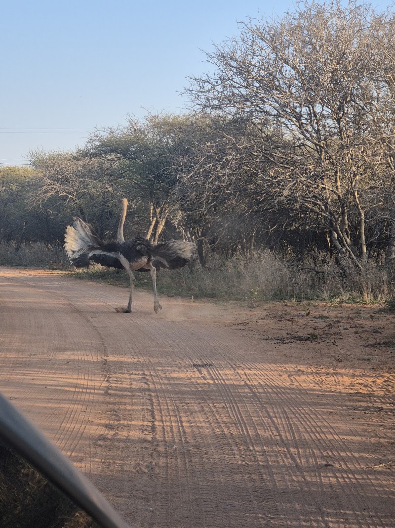 Photo 4 at Gaborone Game Reserve in Gaborone