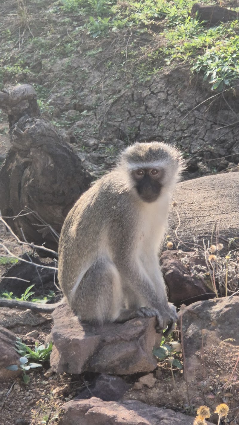 Photo 3 at Gaborone Game Reserve in Gaborone