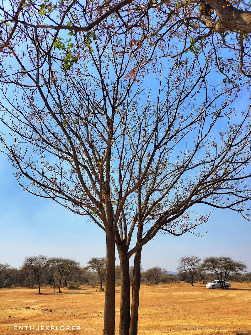Photo 5 at Gaborone Game Reserve in Gaborone