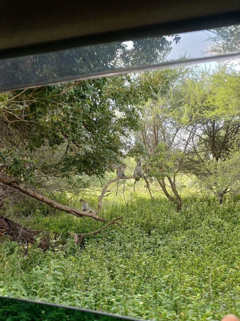 Photo 6 at Gaborone Game Reserve in Gaborone