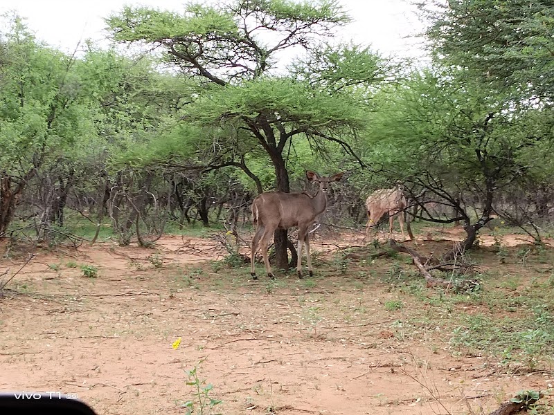 Photo 2 at Gaborone Game Reserve in Gaborone