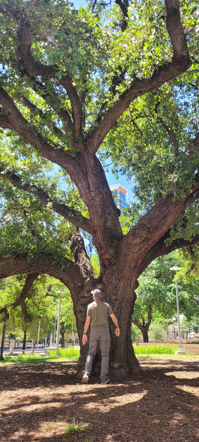 Photo 6 at Brush Square (O. Henry Museum) in Austin