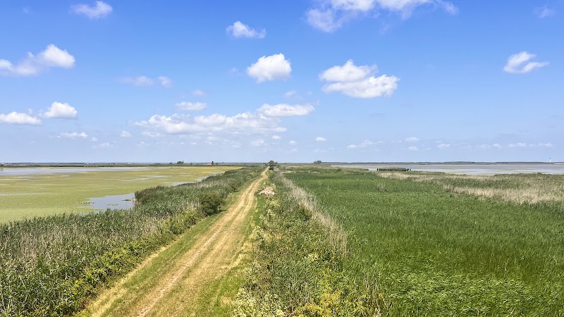 Photo 2 at Hortobágyi National Park in Debrecen