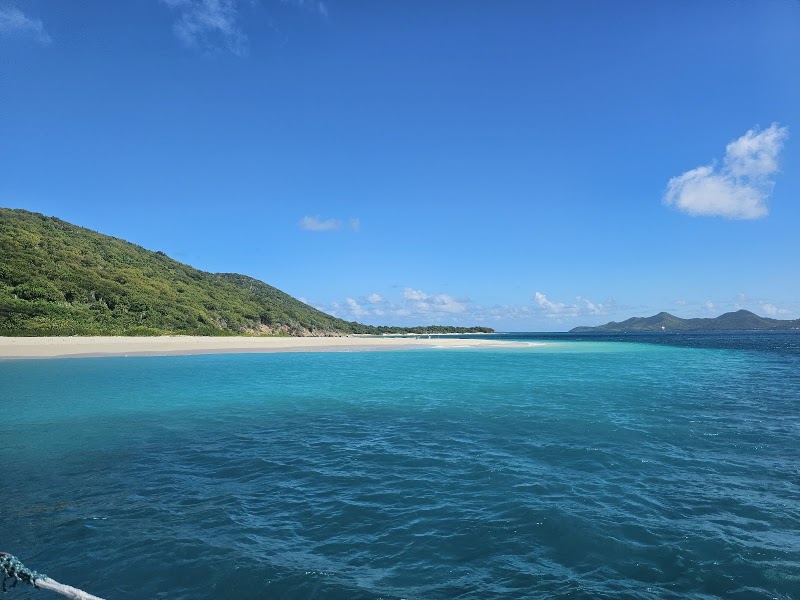 Photo 4 at Buck Island Reef National Monument in 