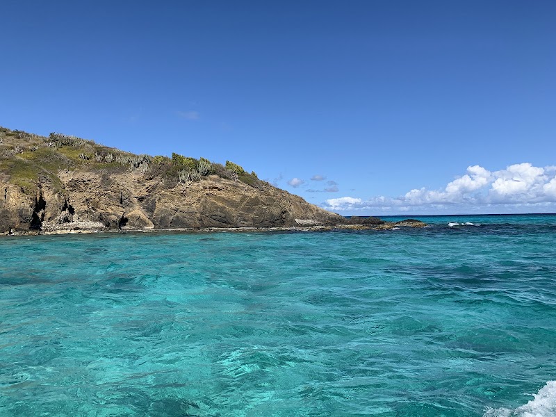 Photo 5 at Buck Island Reef National Monument in 