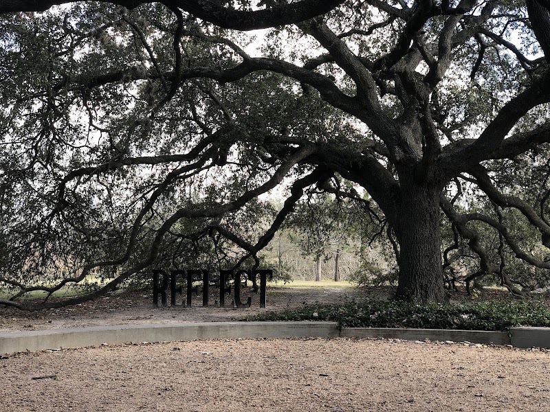 Photo 6 at Buffalo Bayou Park in Houston