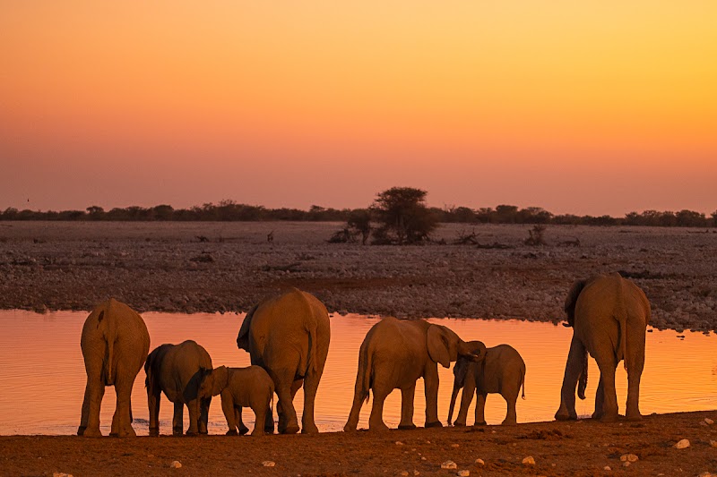 Photo 6 at Bluecrane Safaris Namibia in Windhoek