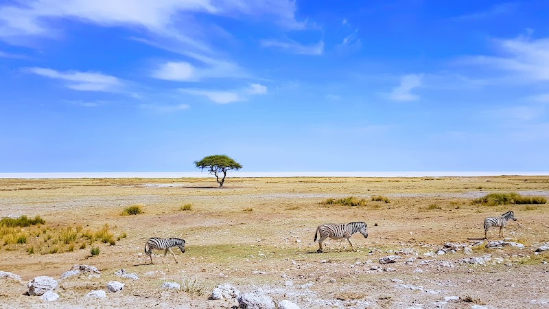 Photo 5 at Etosha National Park in 