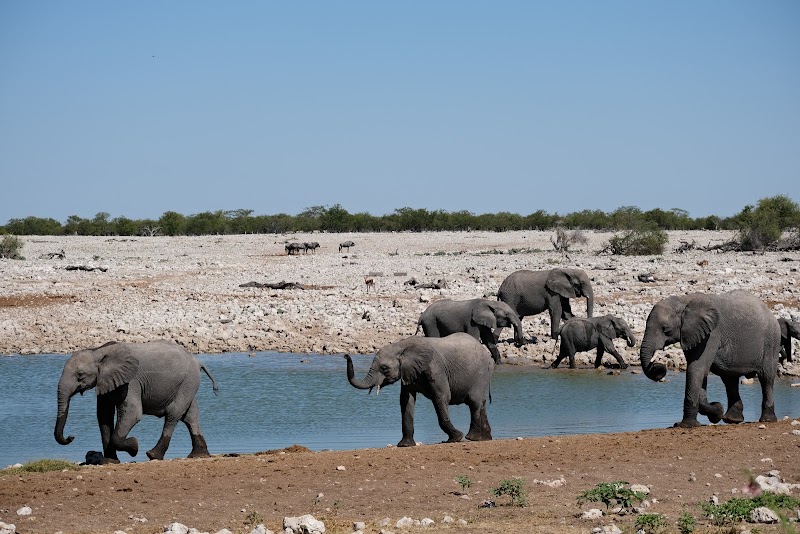 Etosha National Park in 