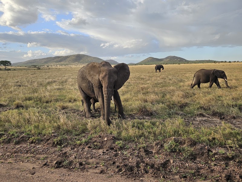 Photo 6 at Serengeti Smile - One of the Best Tanzania Tour Operators in Arusha