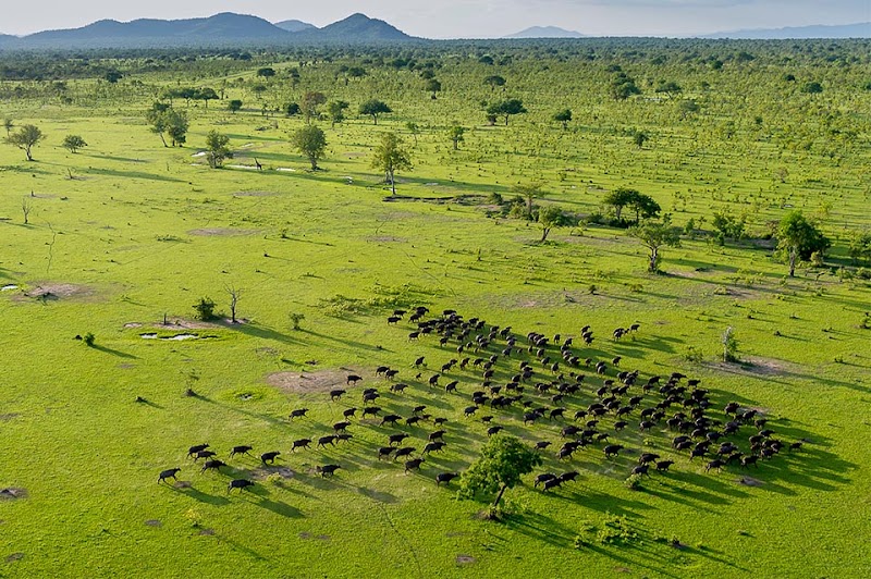 Photo 4 at Nyerere National Park in Matambwe