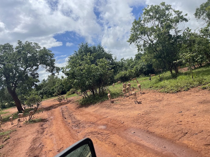 Photo 5 at Nyerere National Park in Matambwe