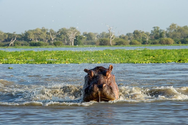 Nyerere National Park in Matambwe
