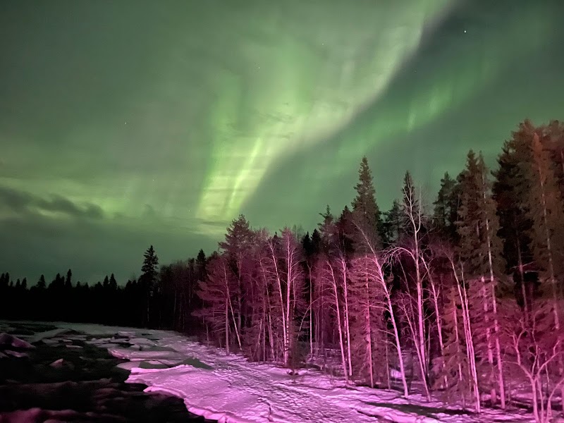 Photo 6 at Safartica in Rovaniemi