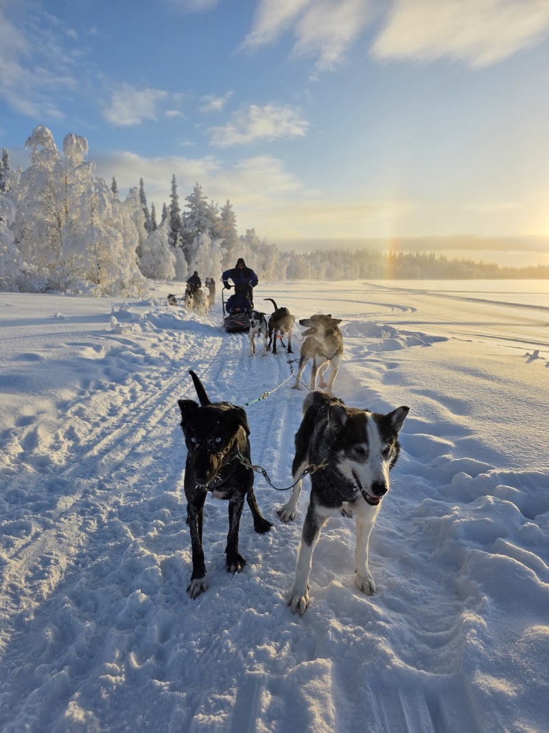 Photo 2 at Safartica in Rovaniemi