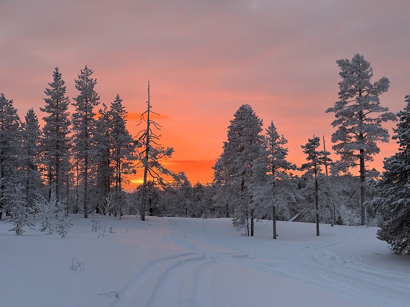 Photo 5 at Safartica in Rovaniemi