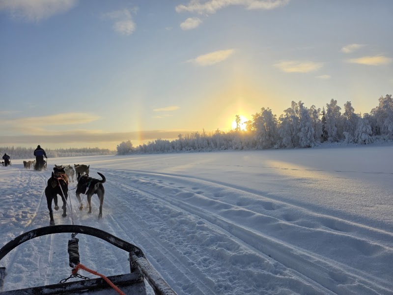 Photo 4 at Safartica in Rovaniemi