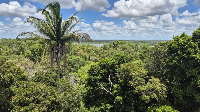 Photo 4 at Lamanai Archaeological Reserve in Water Bank