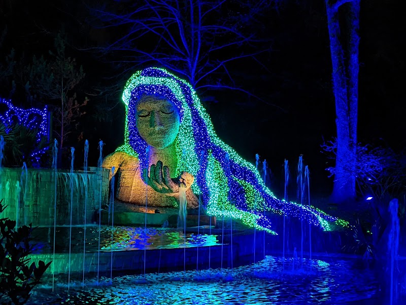 Photo 1 at Atlanta Botanical Garden in Atlanta