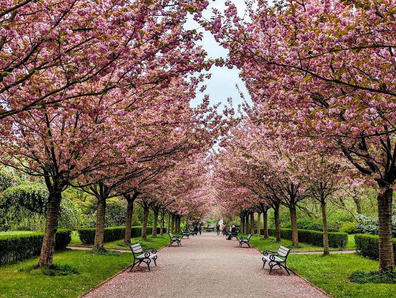 Photo 1 at Rombergpark Botanical Garden in Dortmund