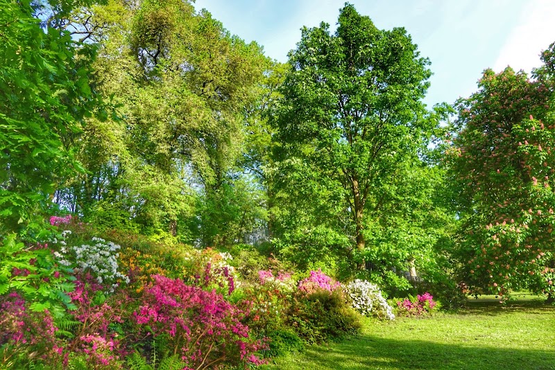 Photo 4 at Rombergpark Botanical Garden in Dortmund