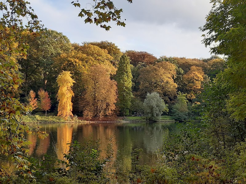 Rombergpark Botanical Garden in Dortmund