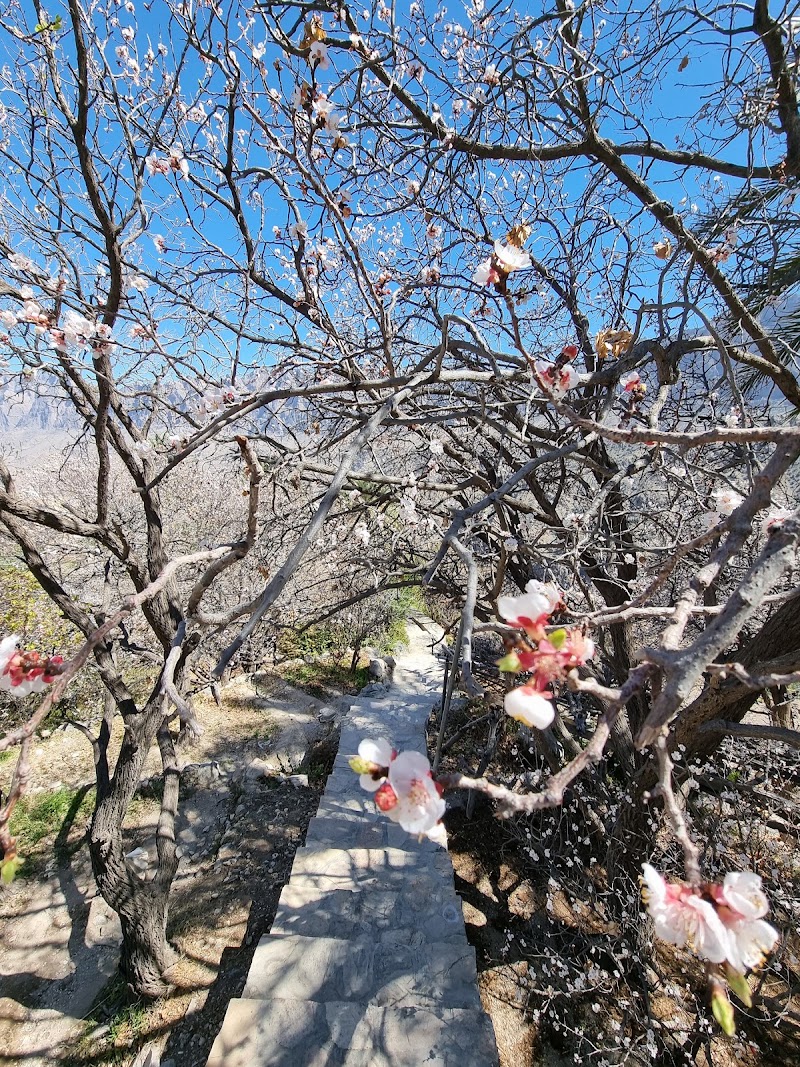 Photo 5 at Wakan Village | قرية وكان in Wakan