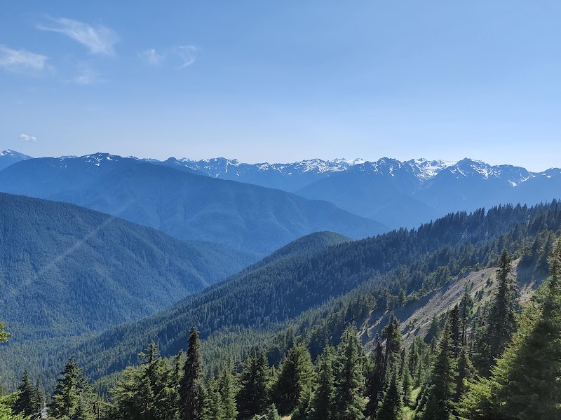 Photo 5 at Olympic National Park in Port Angeles